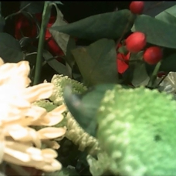 Kingston 8GB MicroSD Card with Adapter - Picture 6 of 11